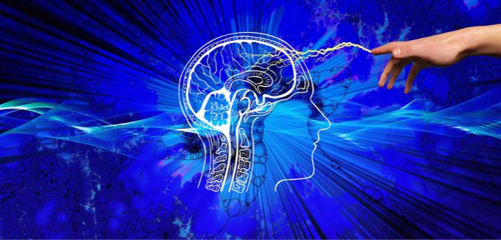 Bioenerji Nedir ? 